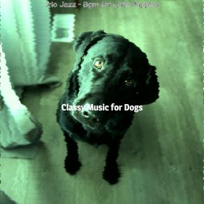 Download track Thrilling Ambience For Sleeping Dogs Classy Music For Dogs