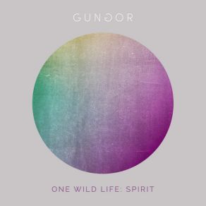 Download track Magic Gungor