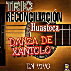 Download track Son De Los Musicos Trío Reconciliación Huasteca