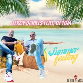 Download track Summer Feeling (Extended Mix) DJ Tom