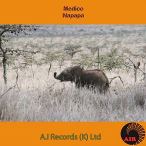 Download track Matatu Medico