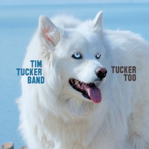 Download track As An Artist Tim Tucker Band