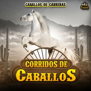 Download track Me Bebi Tu Recuerdo Corridos De Caballos