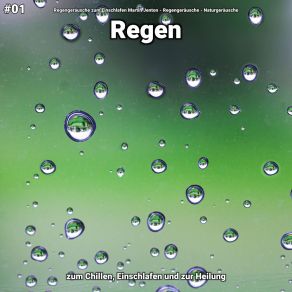 Download track Regen, Pt. 29 Naturgeräusche