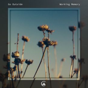 Download track Working Memory Go Outside