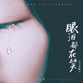 Download track 眼泪都在笑 (DJ女版live) 七喜