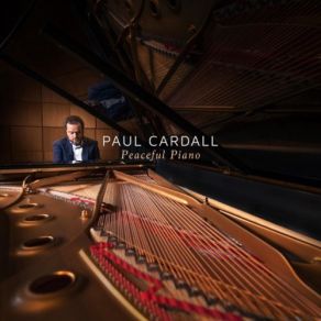 Download track Out Of The Ashes Paul Cardall