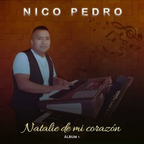 Download track La Niña Del Teléfono Nico Pedro