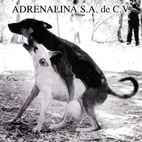 Download track Meto Adrenalina