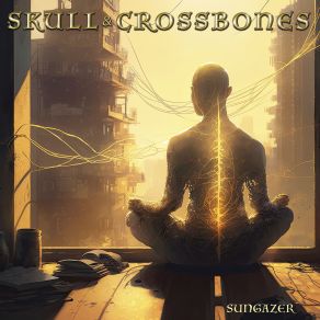 Download track The Traveller Skull & Crossbones