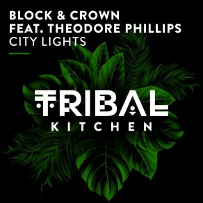 Download track City Lights (Extended Nu Disco Mix) Theodore Phillips