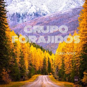 Download track Tu Amor Ha Sido Una Mentira Grupo Forajidos