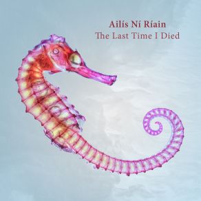 Download track Seahorse [Long Snouted] Ailís Ní Ríain