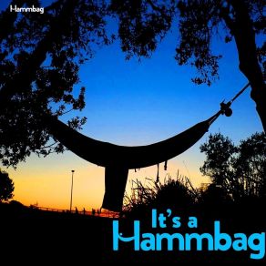 Download track Come-In-A Hammocka HammbagIsaac Smith, Bernie Lagana