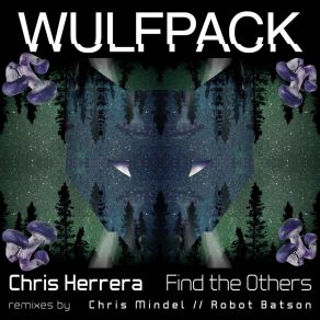 Download track Find The Others (Chris Mindel Remix) Chris HerreraChris Mindel