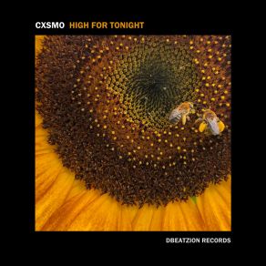 Download track High For Tonight (Extended Mix) Cxsmo