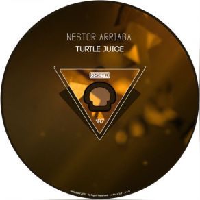 Download track Chuck Norris (Original Mix) Nestor Arriaga