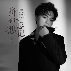 Download track 拼命想忘记 (DJ沈念版伴奏) 玮一