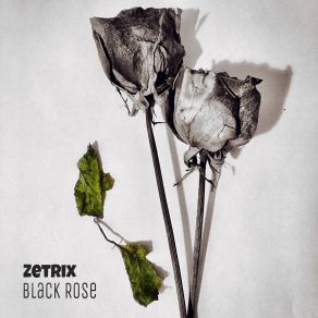 Download track Black Rose ZetRix