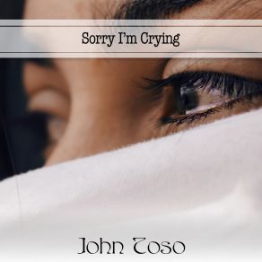 Download track Goodbye Again John Toso