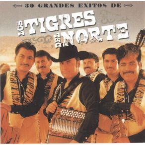 Download track La Camioneta Gris Los Tigres Del Norte