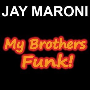 Download track My Brothers Funk Voelker BrosViljo