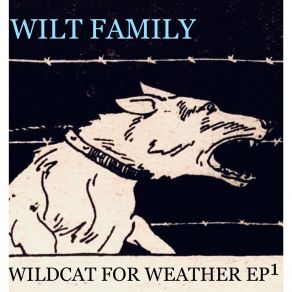 Download track Won't Let Me Sleep Long Wilt Family