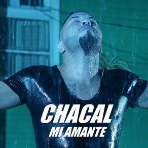 Download track Mi Amante (DJ Unic Bachata 2016 Edit) Chacal