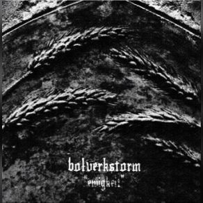 Download track Unsterblichen / Feuer Ostfront Bolverkstorm