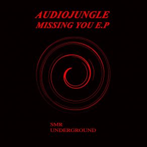 Download track Missing You (Original Mix) AudioJungle