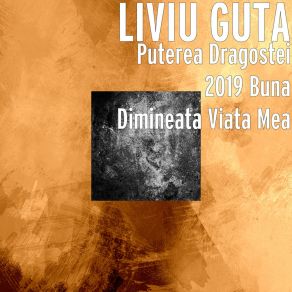 Download track Am Pus Grija Banului Liviu Guta