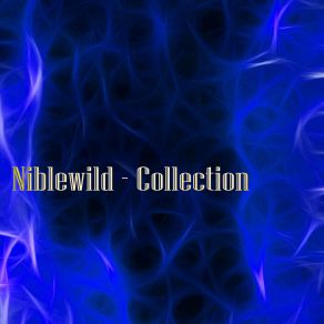 Download track Andare (Original Mix) Niblewild