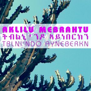 Download track Sabr (Eritrean Music) Aklilu Mebrahtu