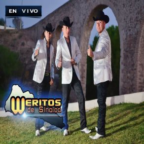 Download track Chema Arroyo (En Vivo) Weritos De Sinaloa