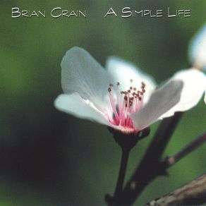 Download track Sunshine And Blossoms Brian Crain