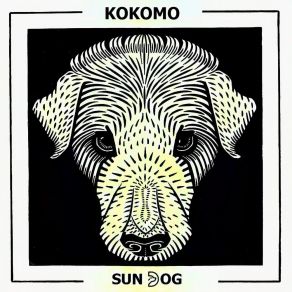 Download track Sundog (Acoustic) Kokomo