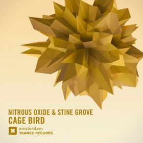 Download track Cage Bird (Dub) Nitrous Oxide, Stine Grove