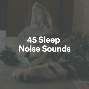 Download track Soft Breeze Fan Sounds For Sleep