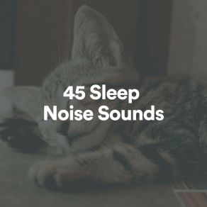 Download track Tranquility Fan Sounds For Sleep