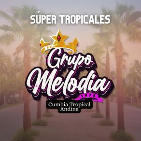 Download track Alegre Amanecer Grupo Melodía