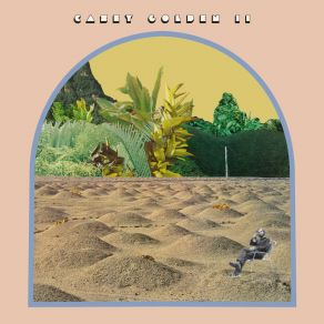 Download track Gal Costa's Dog's Casey Golden