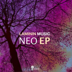 Download track Sencillo Laminin Music