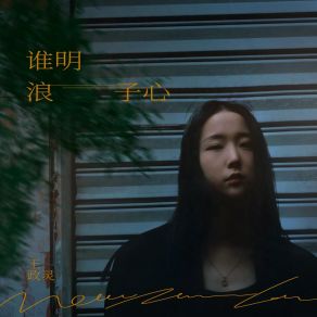 Download track 谁明浪子心 (可以笑的话不会哭 伴奏) 王政灵