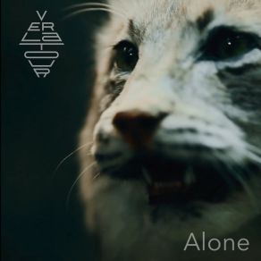 Download track Alone (Tomalone Remix) Verlatour