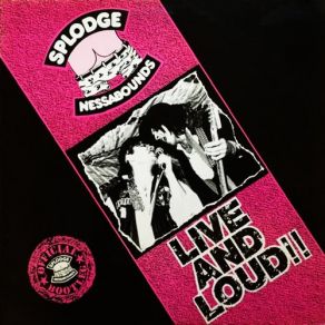 Download track Two Pints Of Lager (Live And Loud!!) Loud, Splodgenessabounds