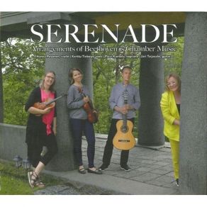 Download track 2. Serenade Op. 8 - II. Adagio Ludwig Van Beethoven