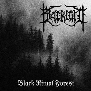 Download track Dreaming Into The Eternal Forest Lord Black