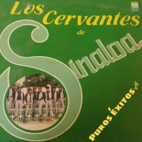 Download track La Higuerita Los Cervantes De Sinaloa