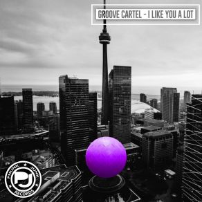 Download track I Like You A Lot Groove Cartel