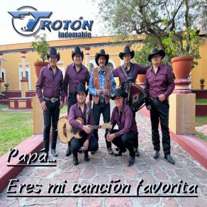 Download track El Señor De Las Canas Grupo Trotón Indomable